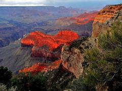 106  USA LE GRAND CANYON 2005_000032